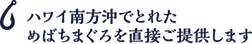 ハワイ南方沖で穫れた めばちまぐろを直接ご提供します
