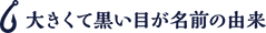 大きくて黒い目が名前の由来